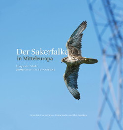 Buchcover Der Sakerfalke in Mitteleuropa